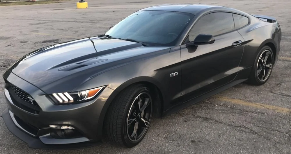 Mustang 5.webp