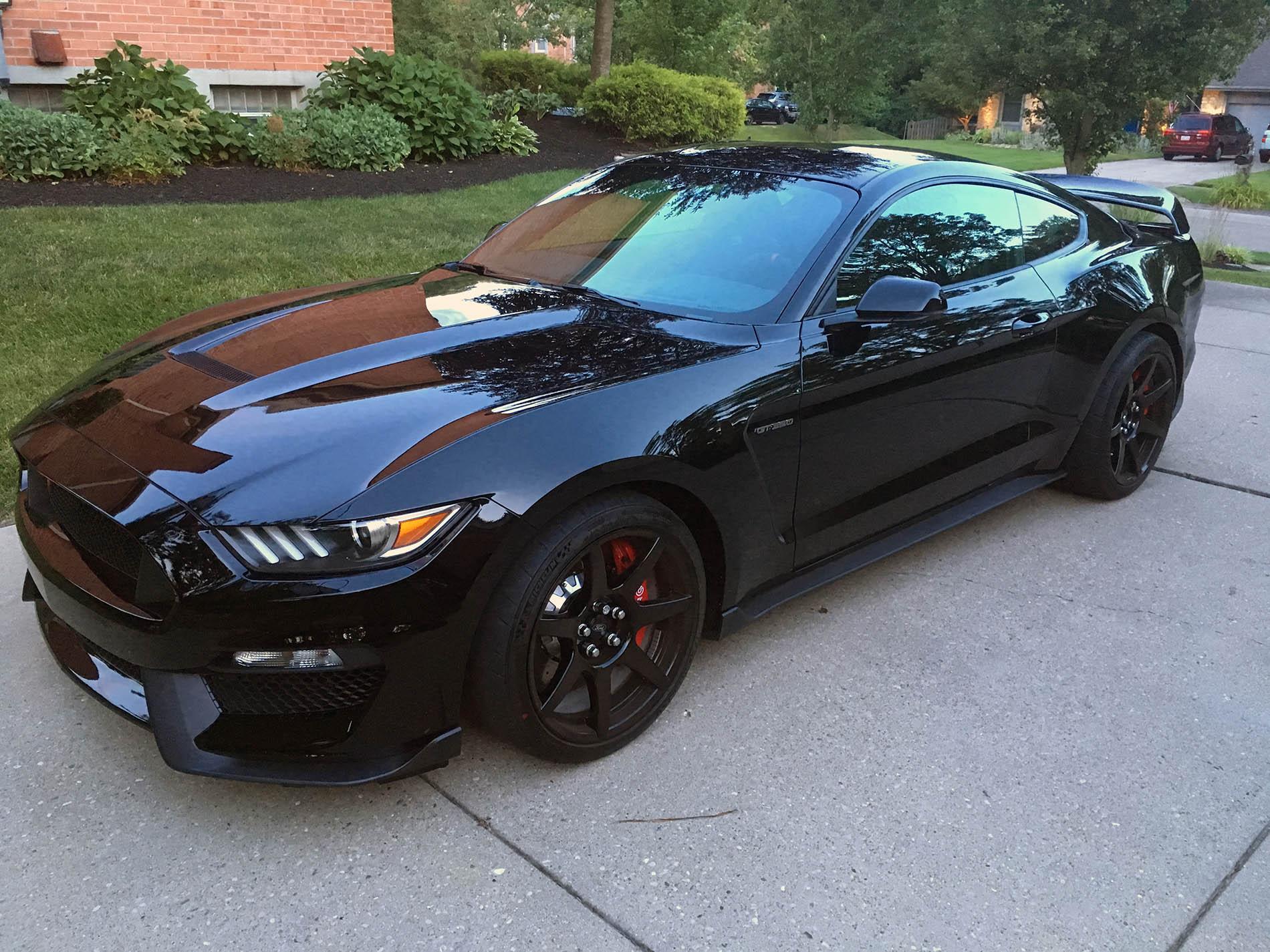shelby edit.jpg