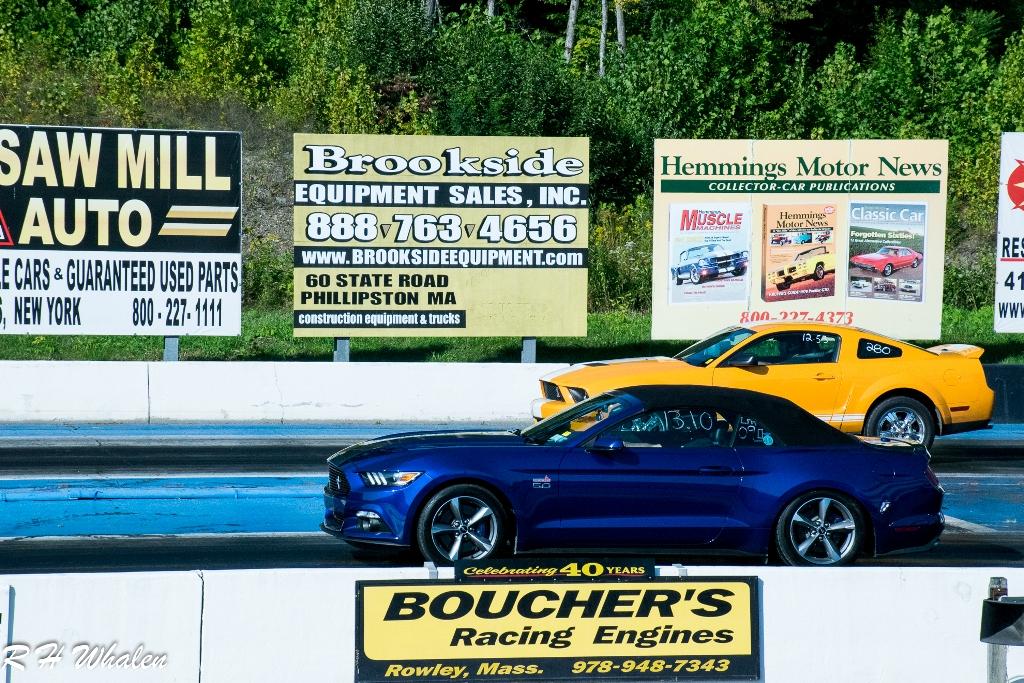 Mustang-24.jpg