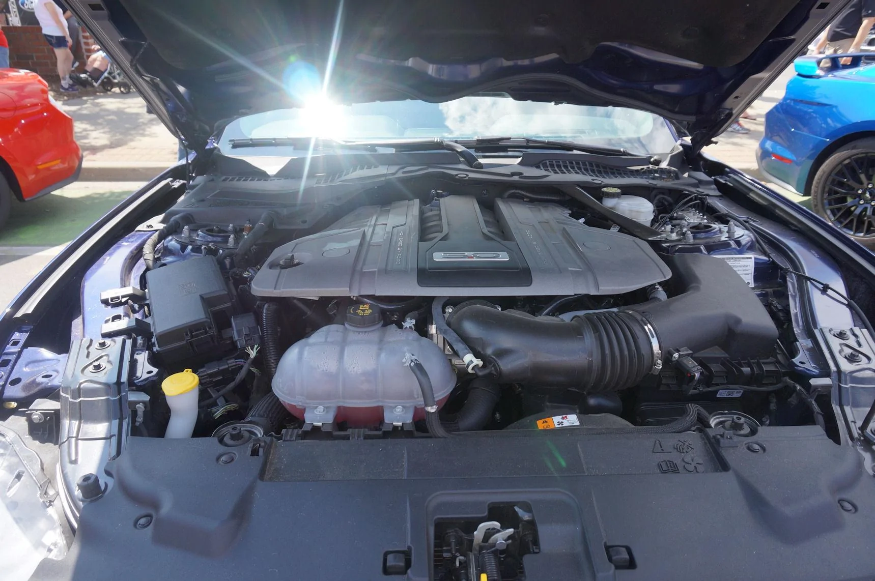 DSC02372_resize35.webp