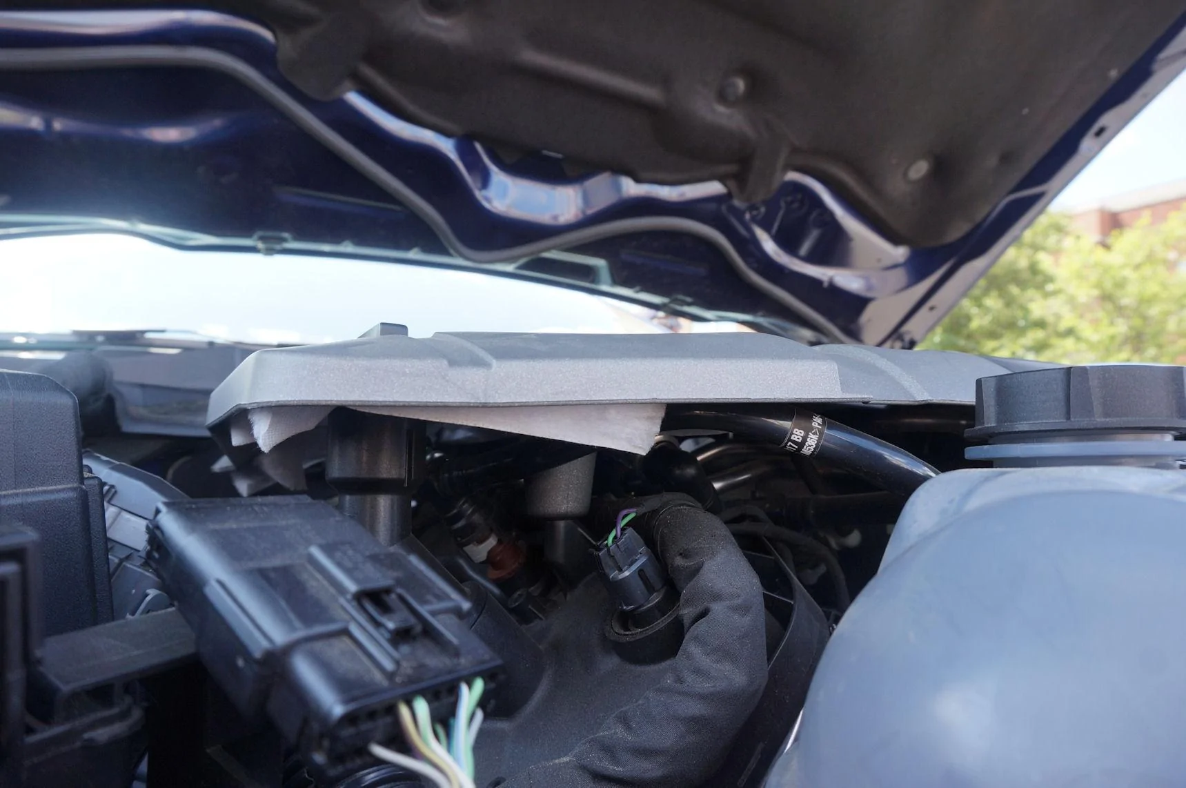 DSC02373_resize35.webp