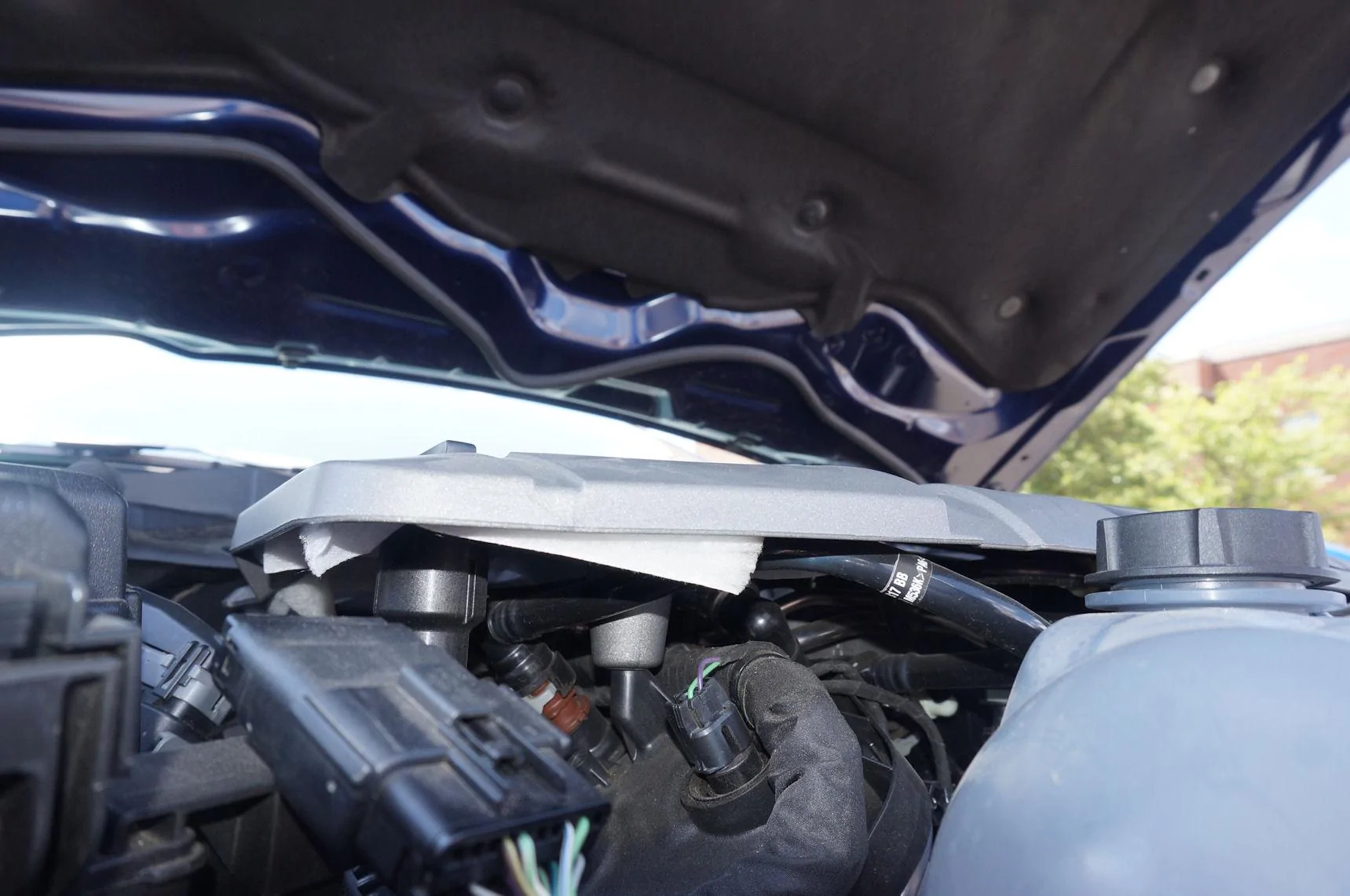 DSC02374_resize35.webp