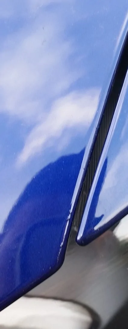 Mustang 1.webp