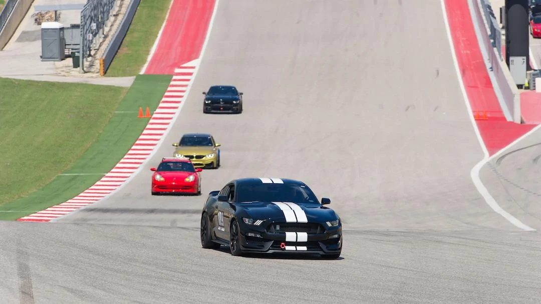 COTA9.webp
