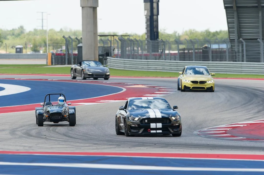 COTA11.webp
