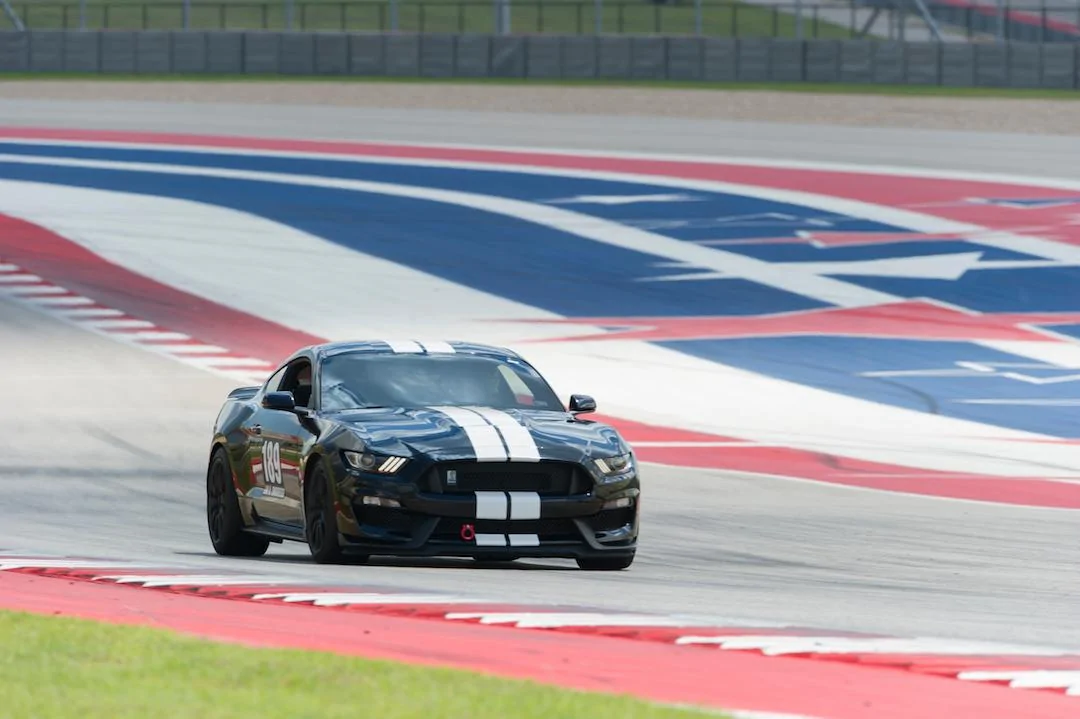 COTA12.webp