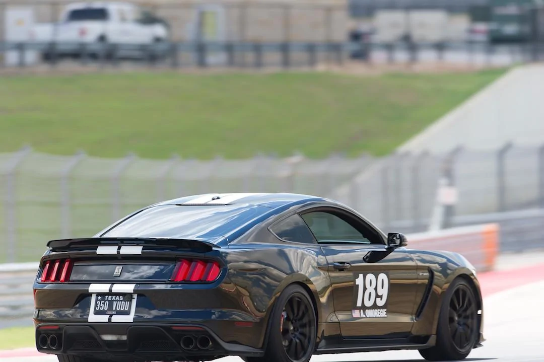 COTA14.webp