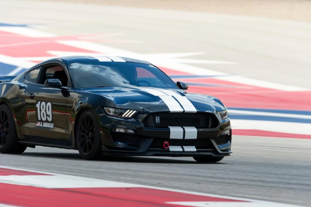 COTA15.webp