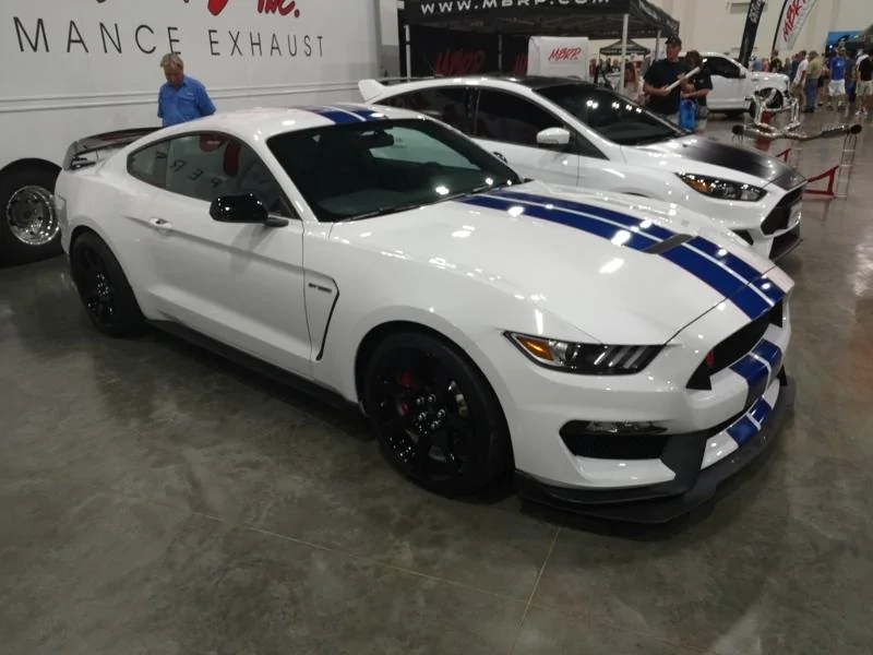 IMG_20170908_113246568-01.webp