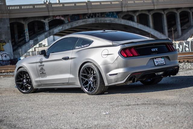 mustang pic 2.JPG