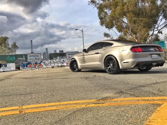 mustang pic 3.JPG