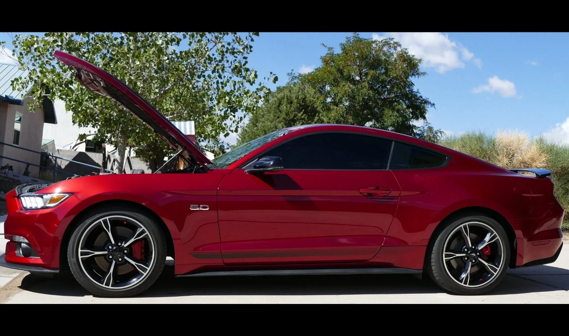 sideview.webp