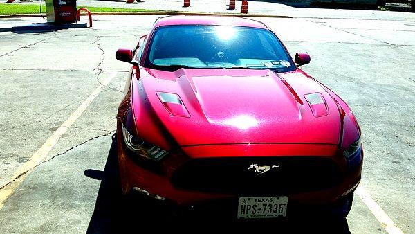 tn_20170911_112433.jpg