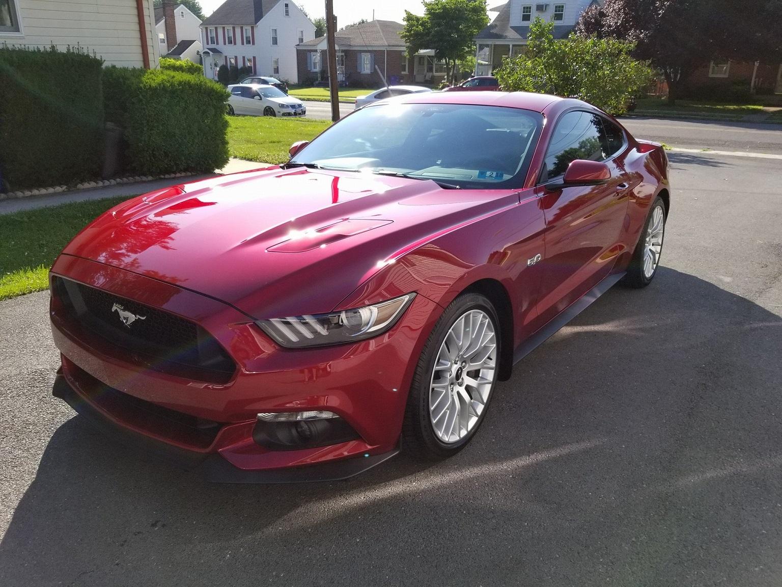 Mustang1.jpg