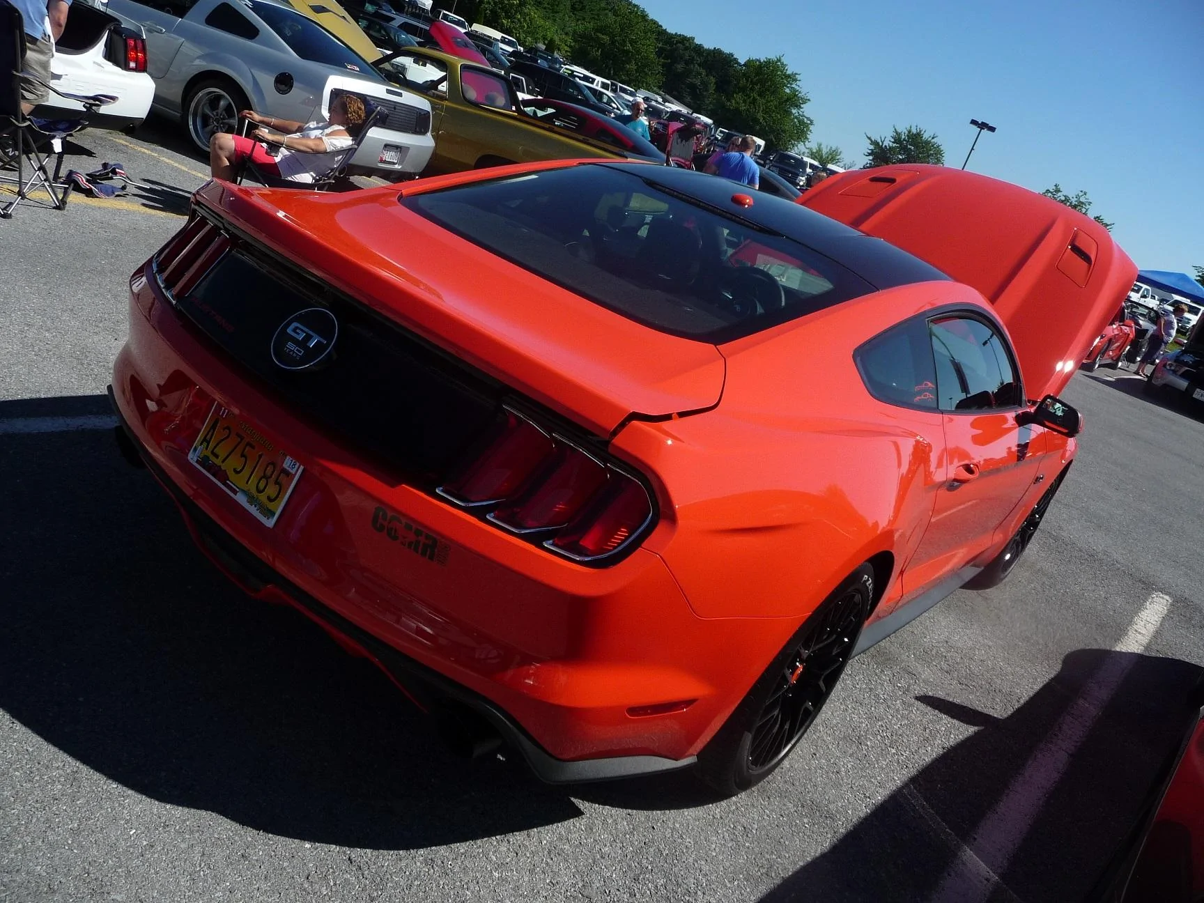 rear.webp