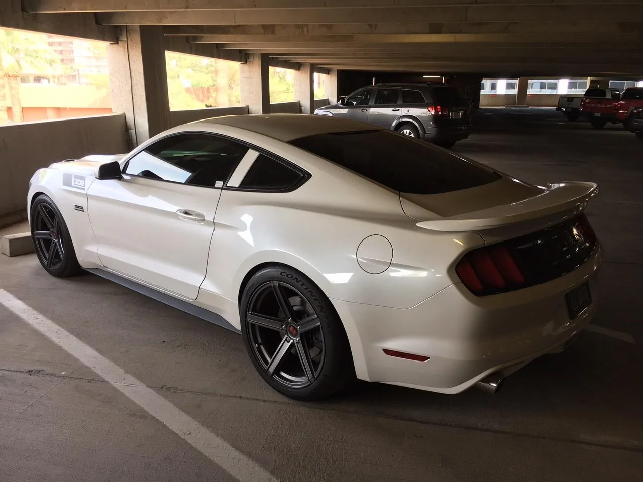 Saleen3.webp
