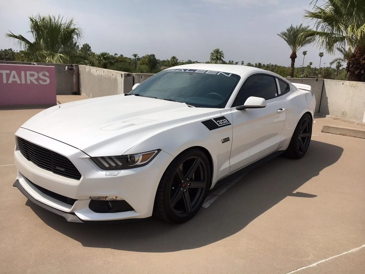Saleen1.webp