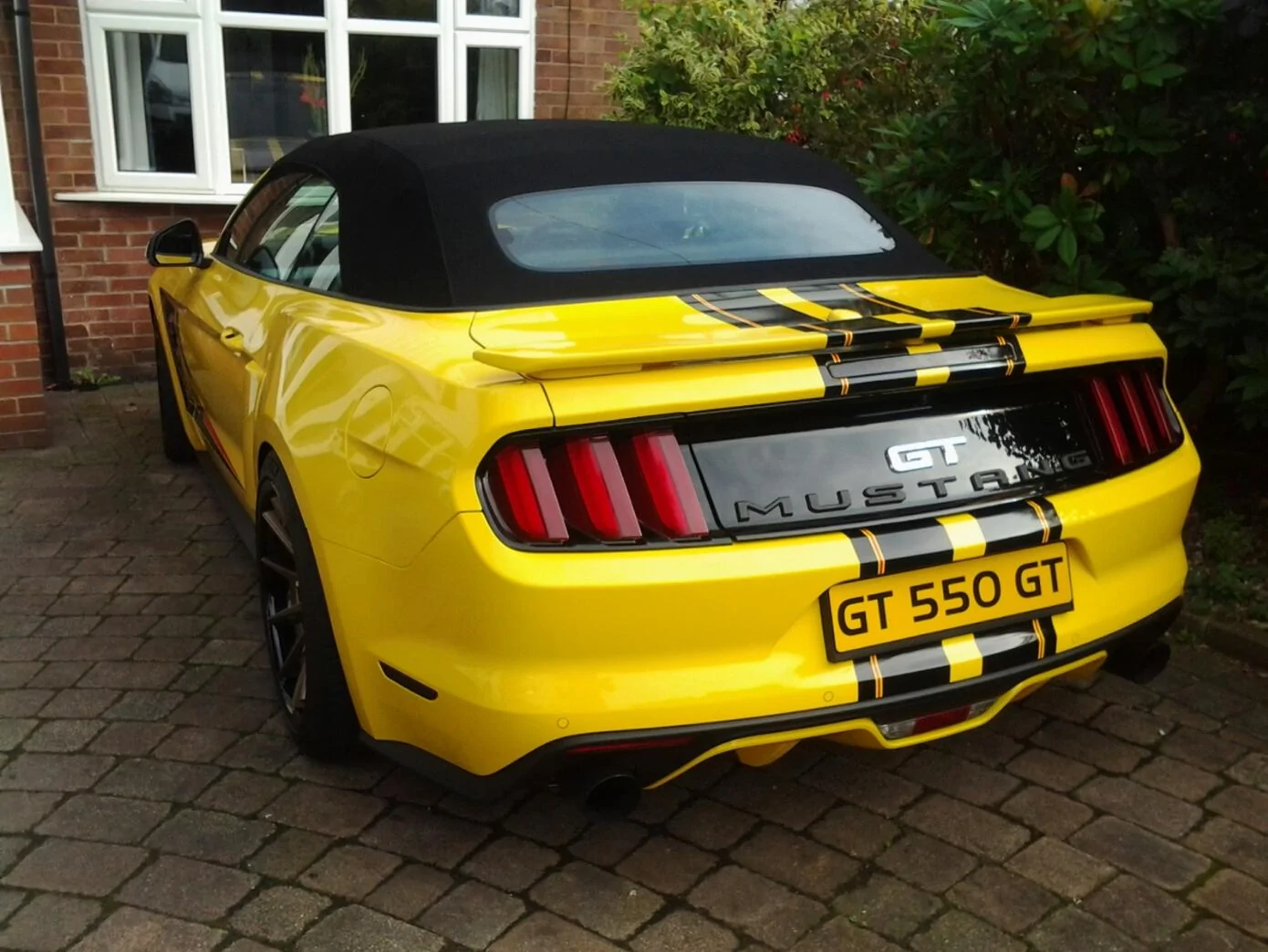 Rear.webp