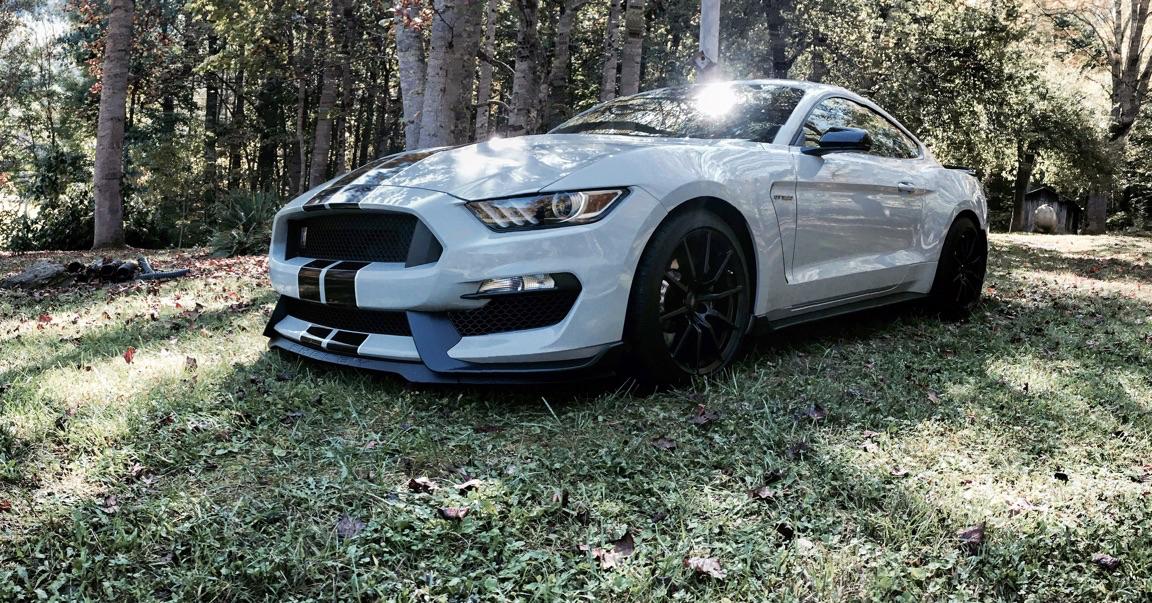Shelby front.jpg