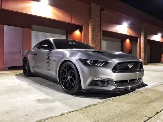 mustang pic 4.webp