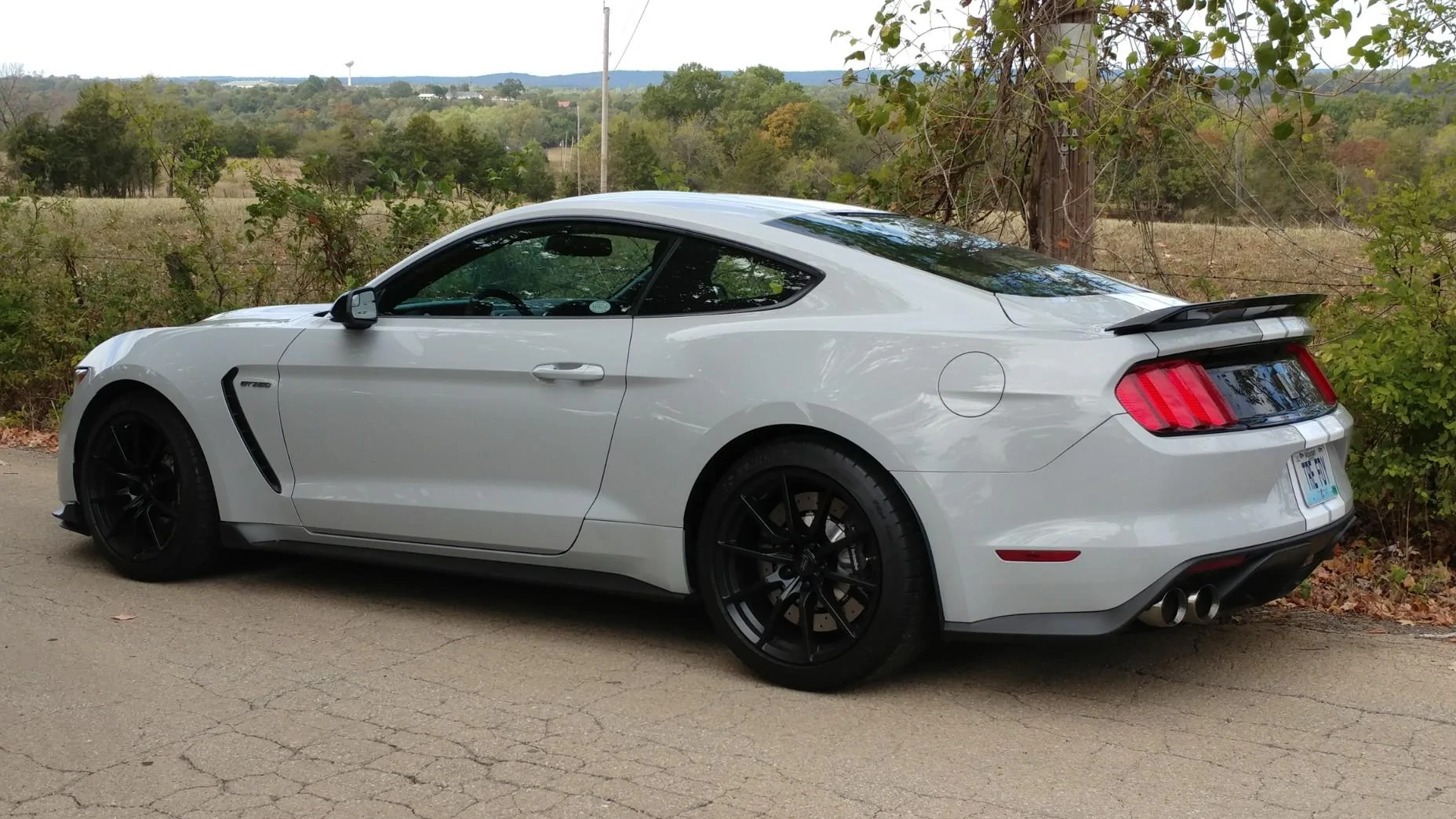 resized rear.webp