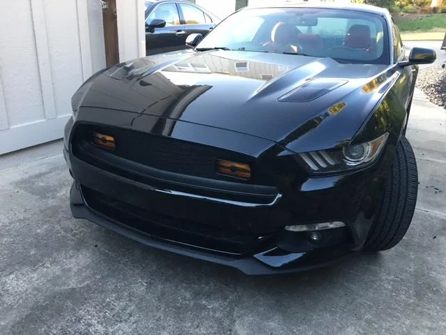 Mustang3.webp