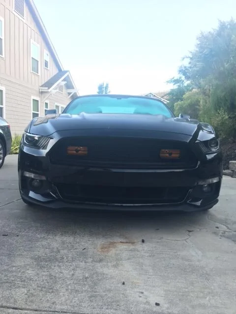 Mustang5.webp