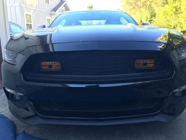 Mustang2.webp