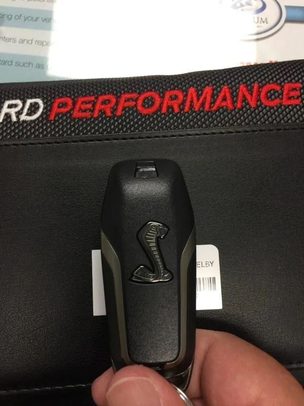 image1.webp