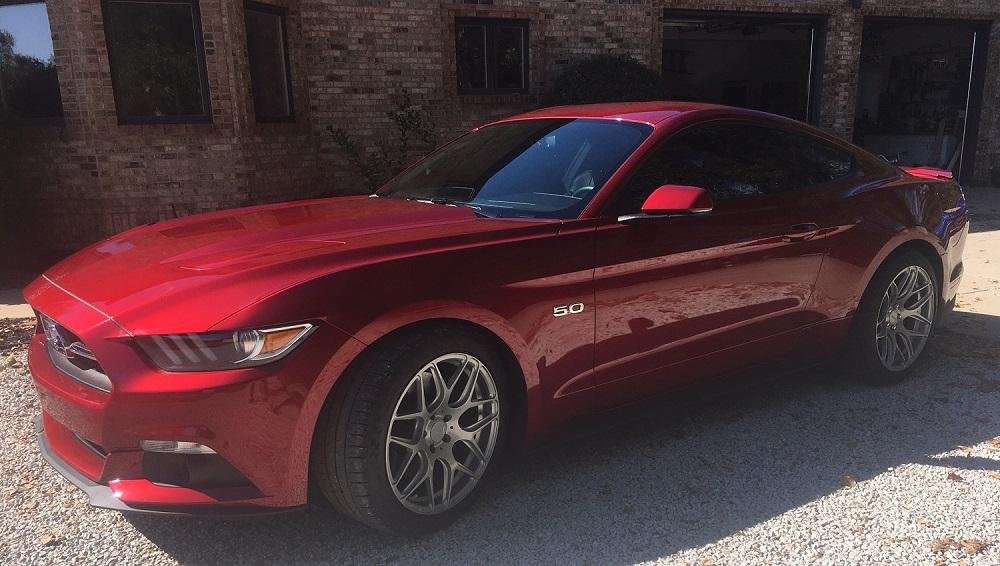 mustang.jpg