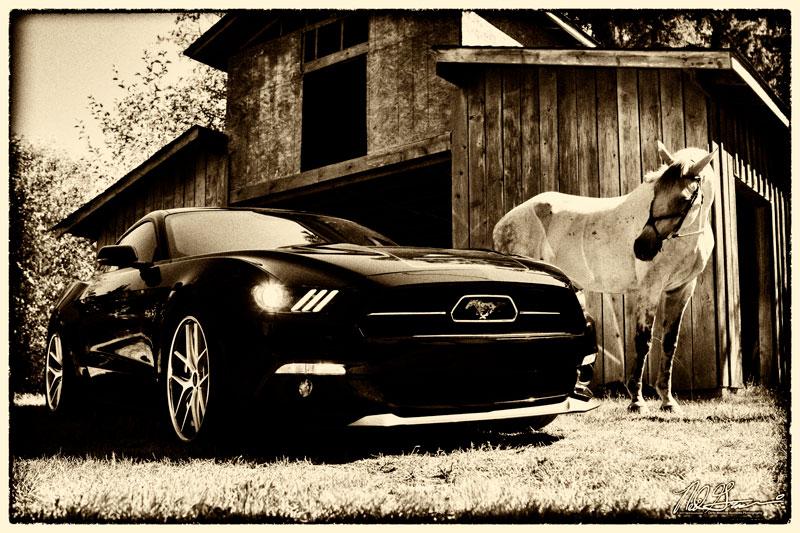 Robinson-mustang-vintage-WEB.jpg