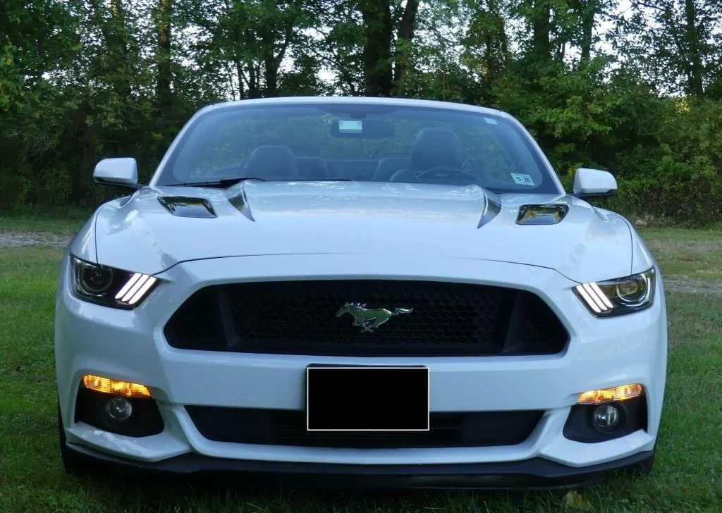 Front View no license.webp