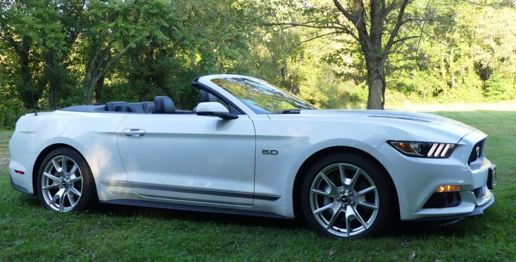 1 side view no license.jpg