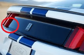 trunk.webp
