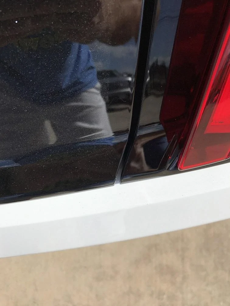 Trunk2.jpg
