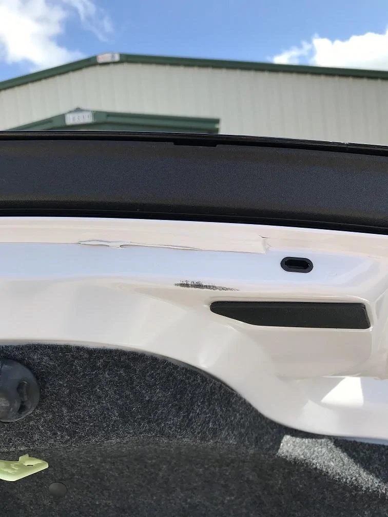 Trunk5.JPG