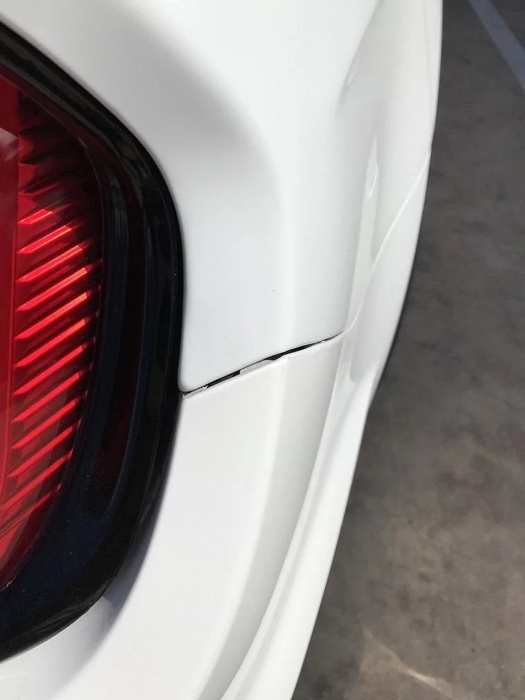 Trunk4.JPG