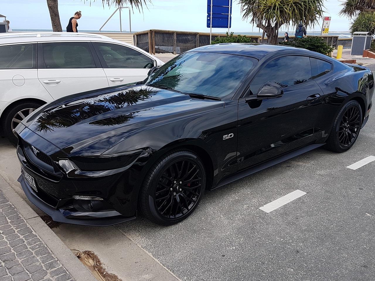 S5501.jpg