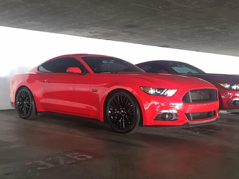 ariel lowered.webp