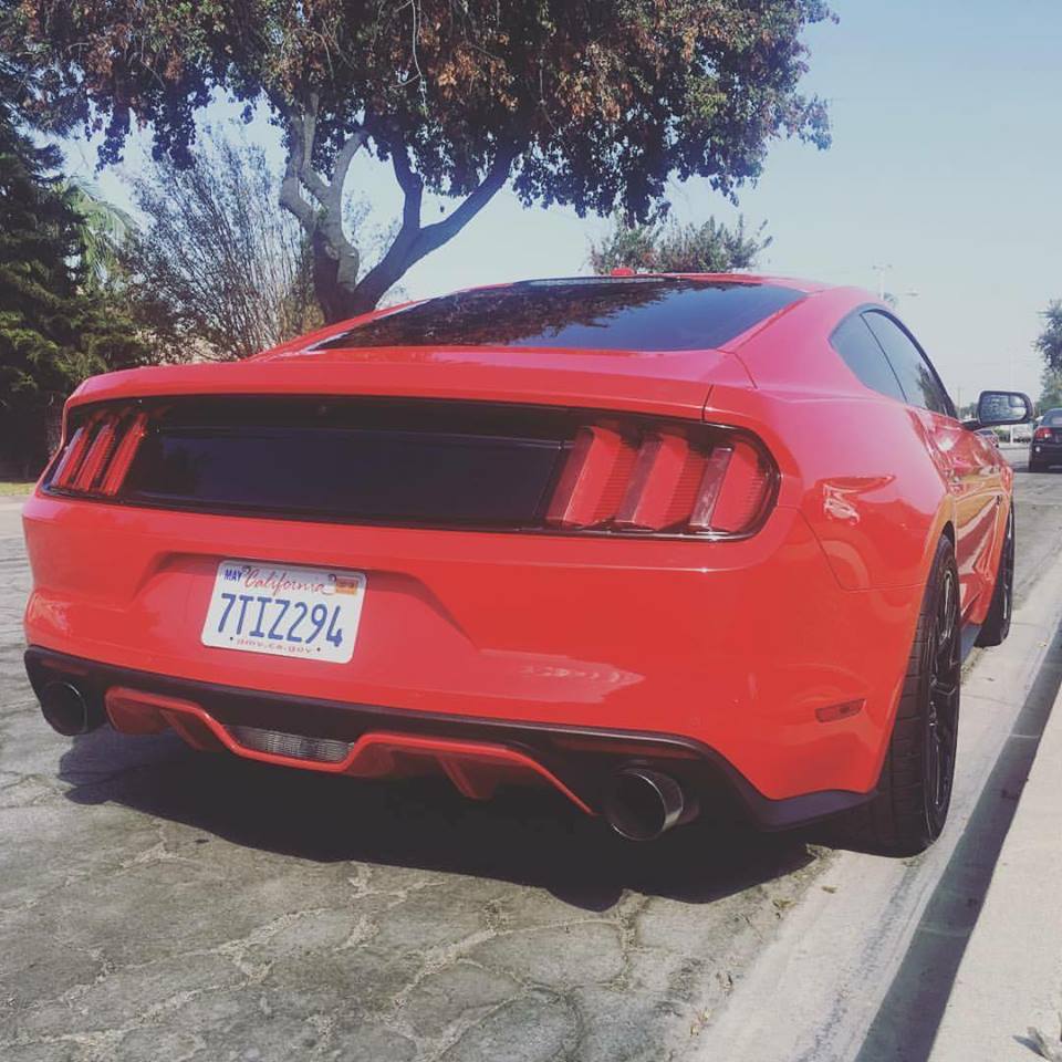 ariel rear.jpg