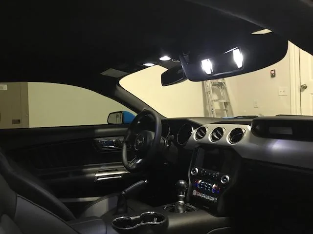 image1 (1).webp