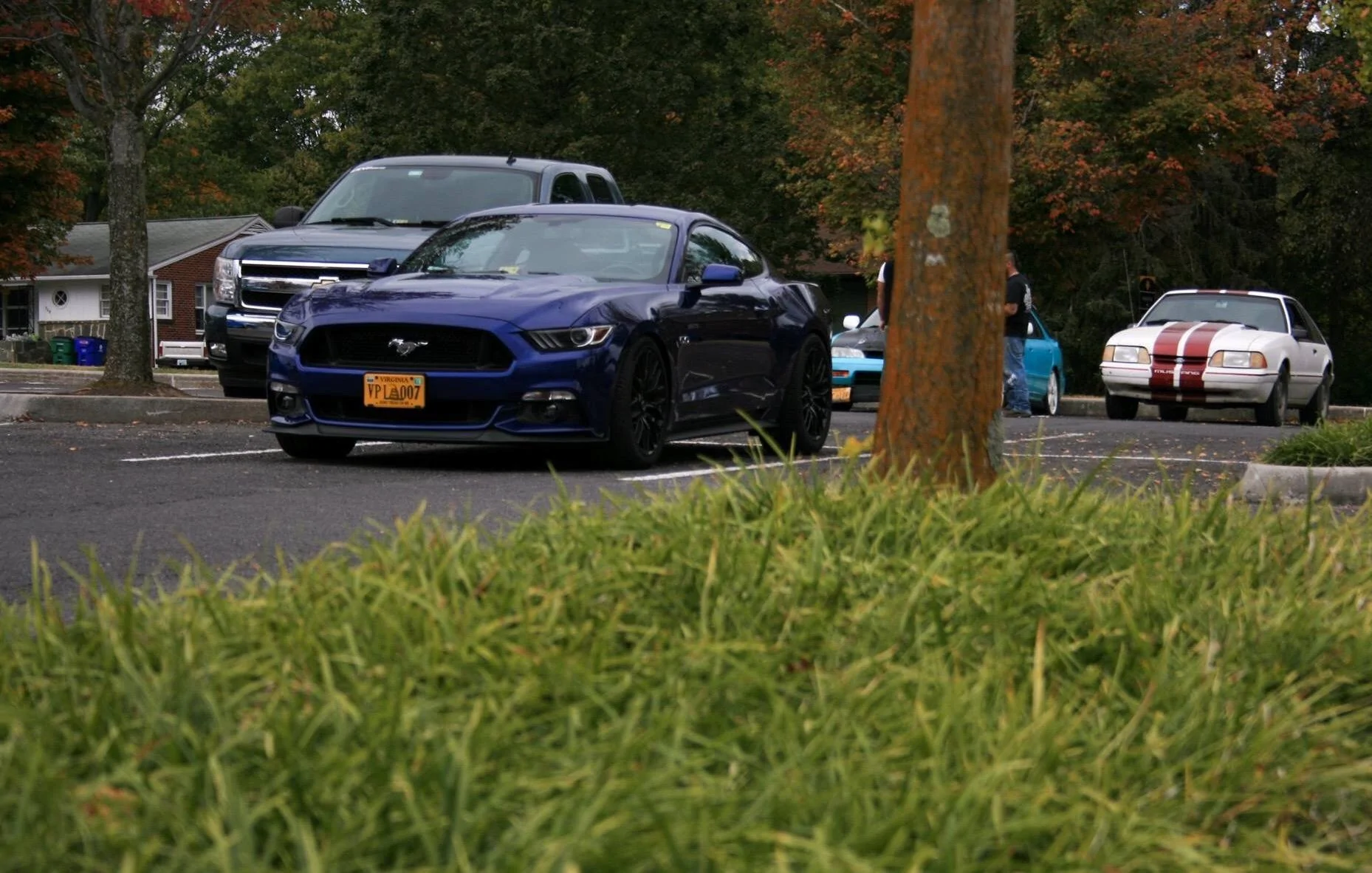 IMG_0740.webp
