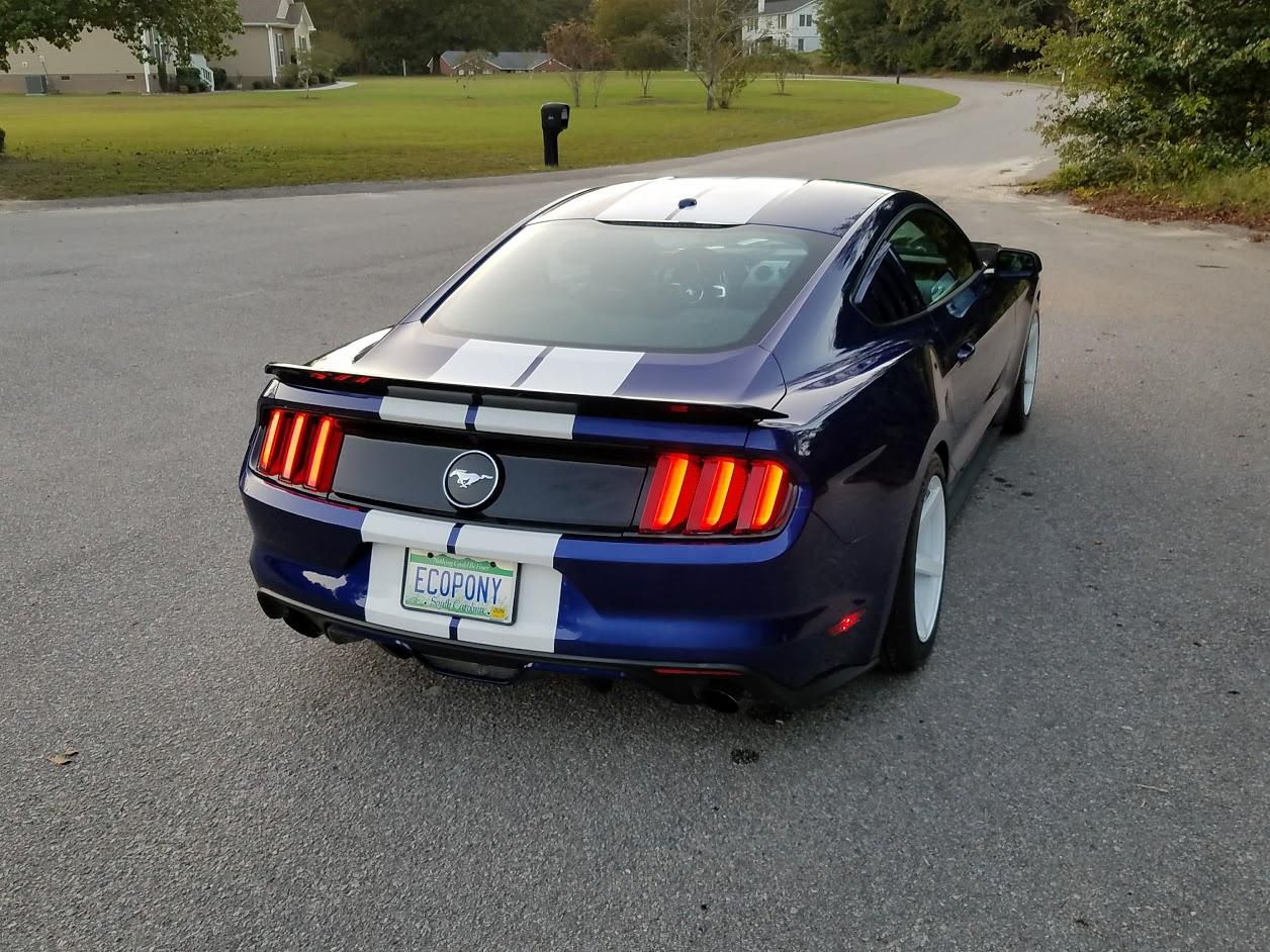 2015-pass-rear-up.jpg