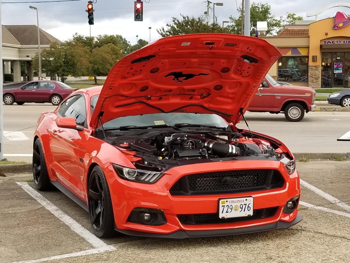6gside.jpg