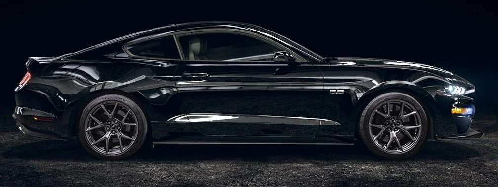 mustang_18.webp