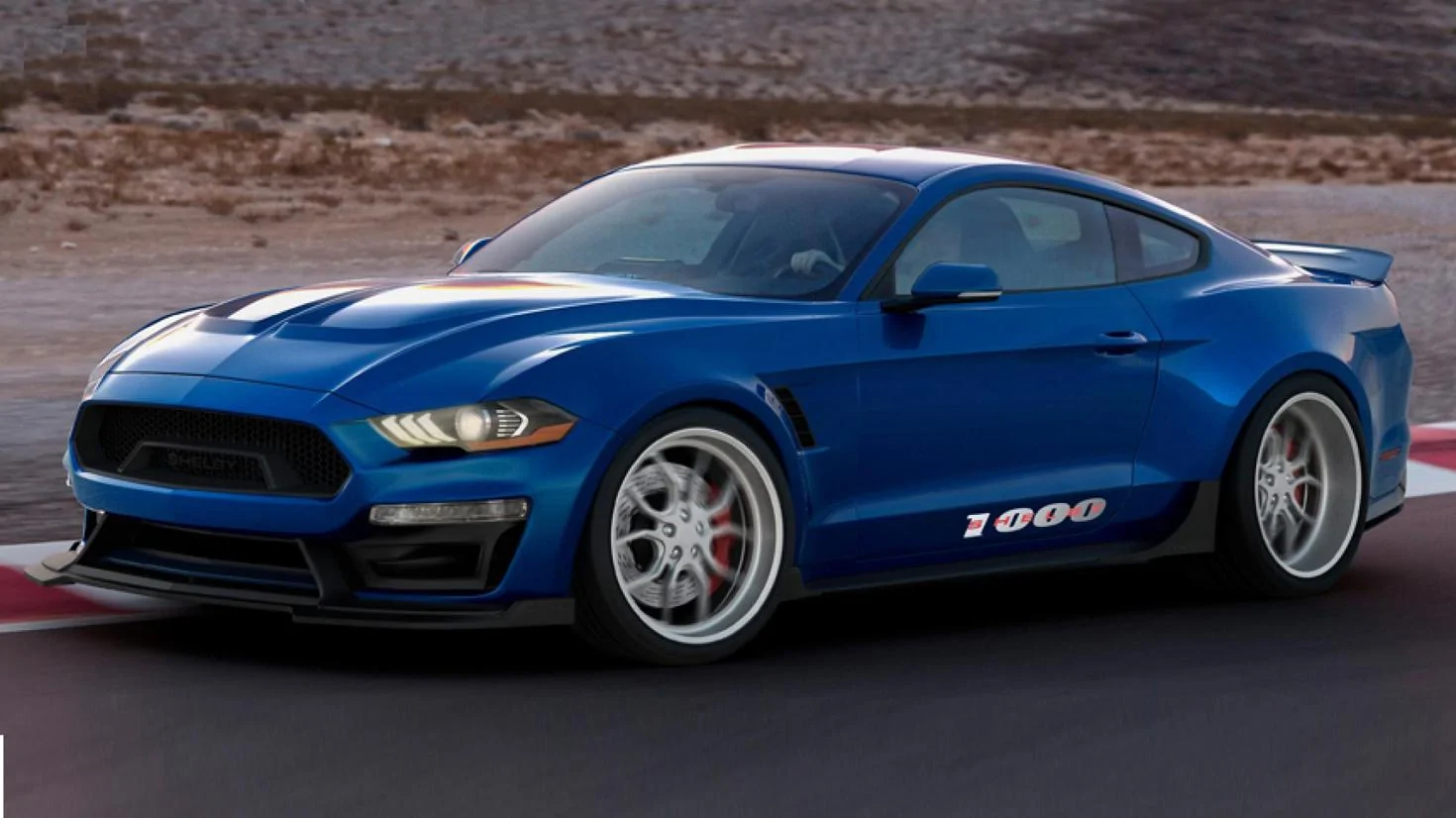 shelby.webp