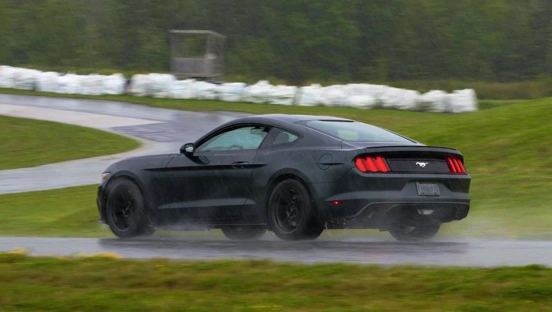 C_20901668_1414119378708600_5218807289113413903_o.webp
