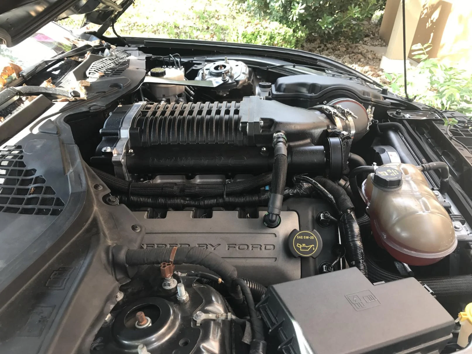 IMG_1160-min.webp