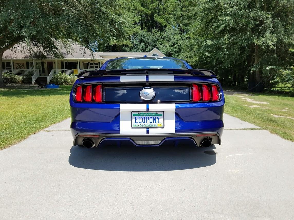 2015-rear-lower.jpg