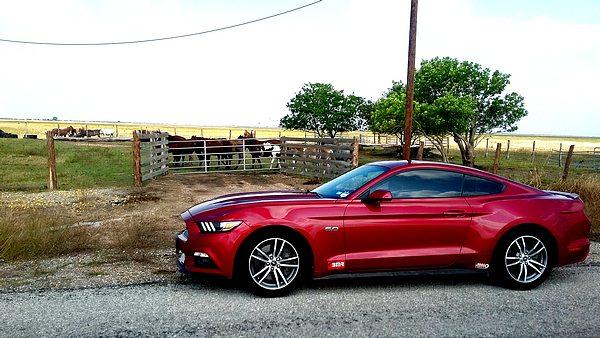 tn_20171102_111603.jpg